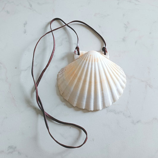 Conchiglia del pellegrino con cordini per rievocazione storica medievale, conchiglia di capasanta forata